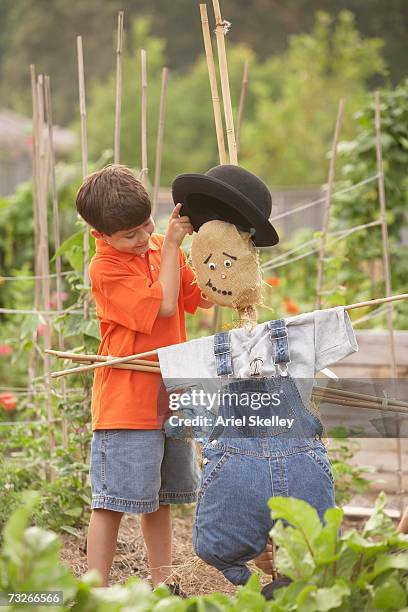 young hispanic boy putting hat on scarecrow - scarecrow agricultural equipment stock-fotos und bilder