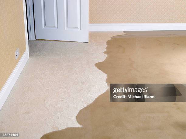 living room carpet flooding - flooded home stock-fotos und bilder