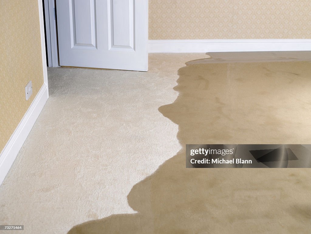 Living room carpet flooding