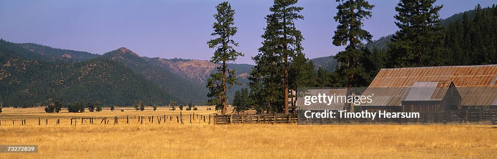 "USA, California, near Taylorsville, metal-roofed barns and fences in field, autumn"