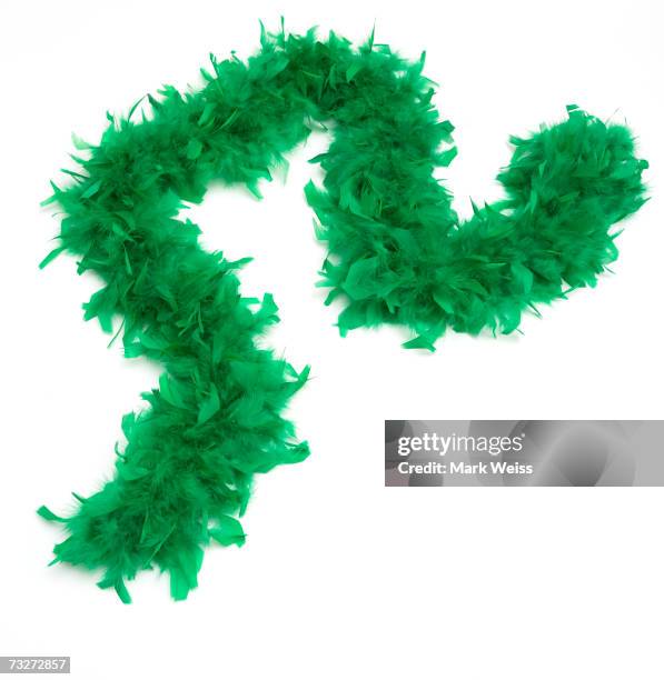 "green feather boa, close-up" - boa bildbanksfoton och bilder