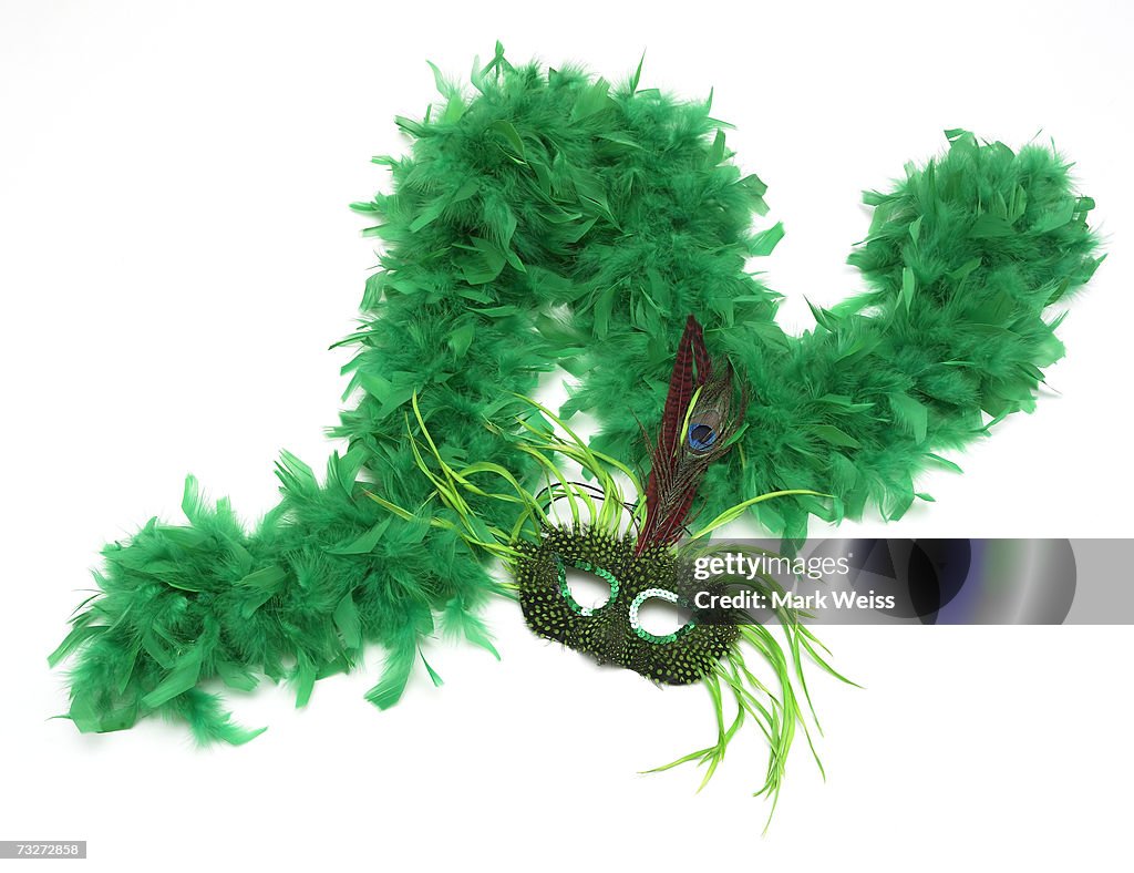 "Green feather boa and mask, close-up"