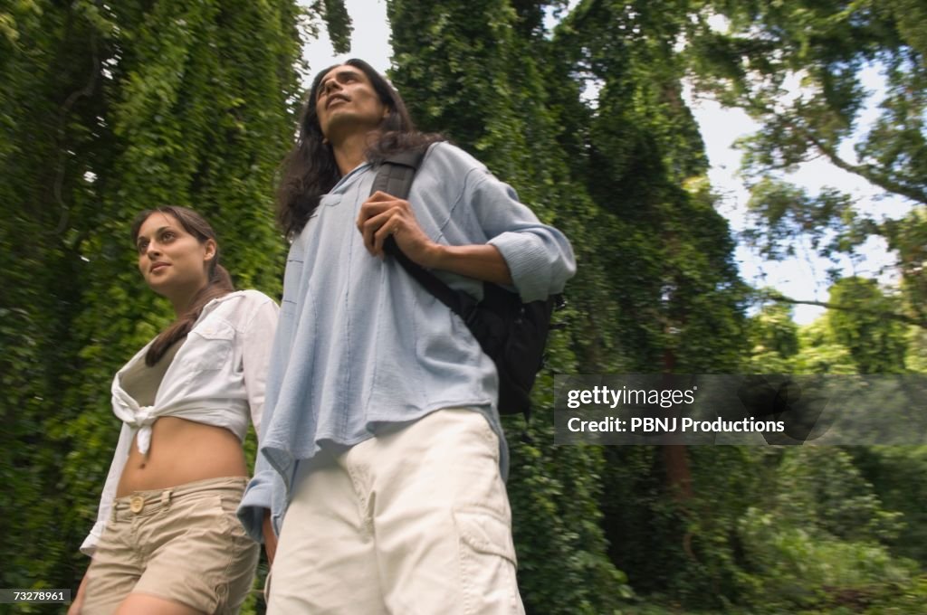 Low angle view of couple in forest