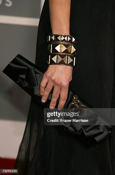 Musician Emily Robinson of the The Dixie Chicks arrives at the 49th Annual Grammy Awards at the Staples Center on February 11, 2007 in Los Angeles,...