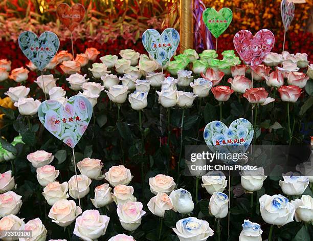 Roses are for sale at a flower market on February 13, 2007 in Chongqing Municipality, China. As the Valentines Day festival draws near, sales of...