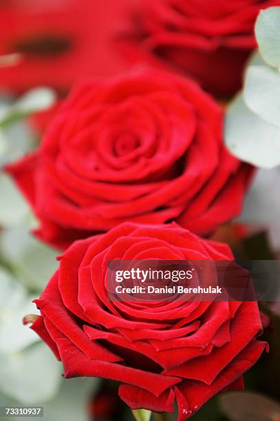 Roses are pictured in a street vendors stall on February 13, 2007 in London, England. As the Valentines Day festival draws near, sales of flowers are...