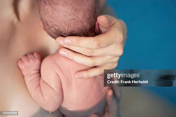 newborn baby boy (0-3 months) in birthing pool, rear view - labour ストックフォトと画像