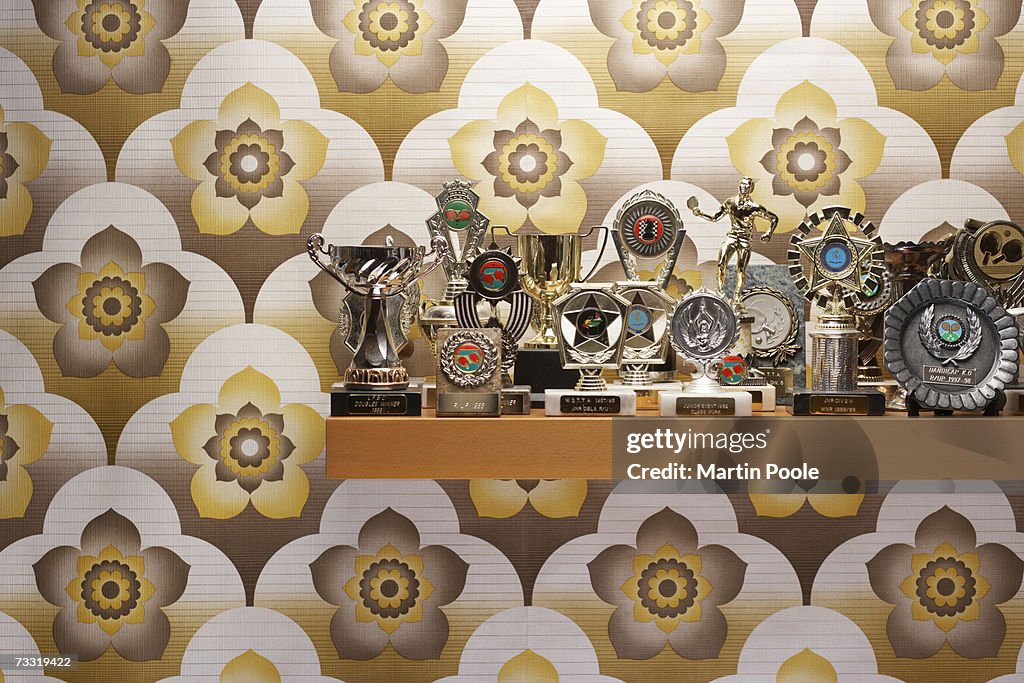 Trophies on a shelf