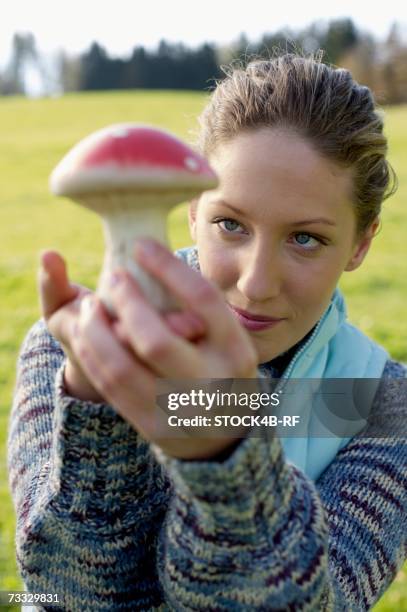 262 Lucky Mushroom Stock Photos and High-Res Images - Getty Images