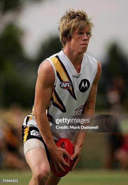 Jack Riewoldt of Team King looks for a teammate during the Richmond Tigers intra-club AFL match at Casey Fields on February 16, 2007 in Melbourne,...