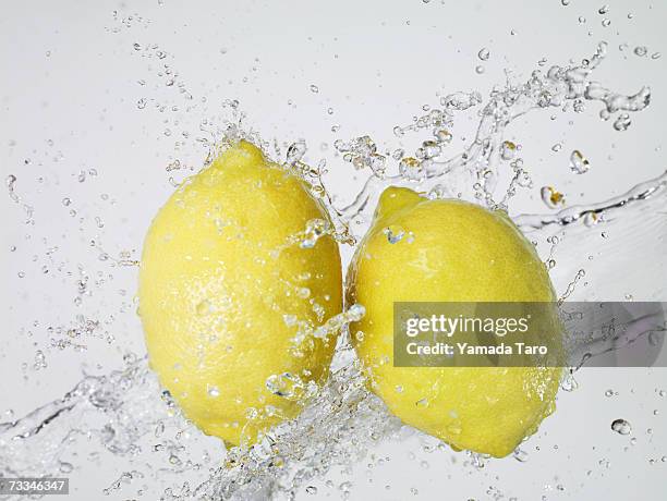 Lamon Splash 1,336 Lemon Splash Stock Photos, High-Res Pictures, and Images - Getty ...