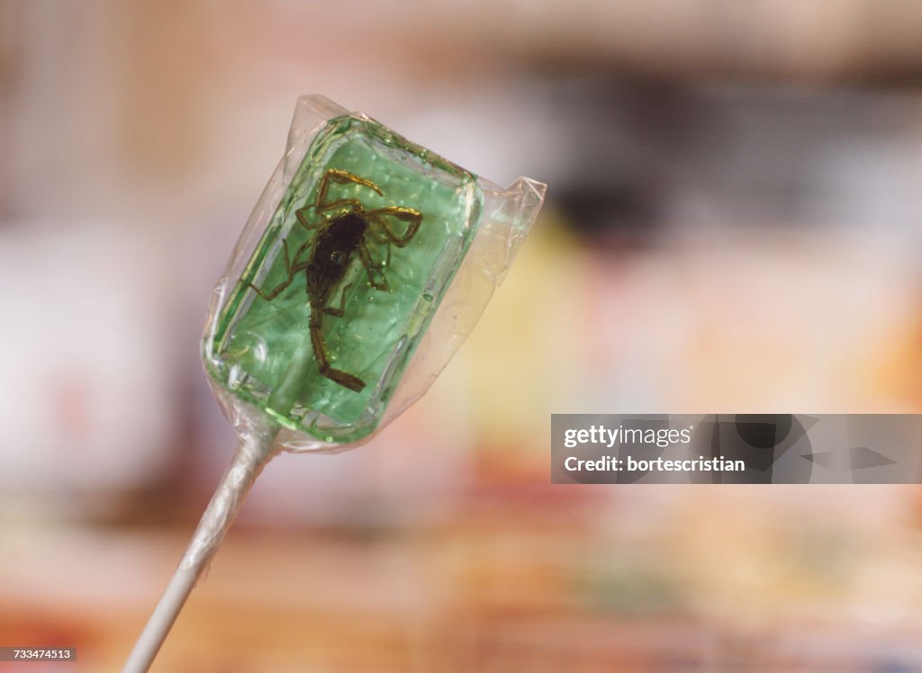 Close-Up Of Scorpion In Green Lollipop