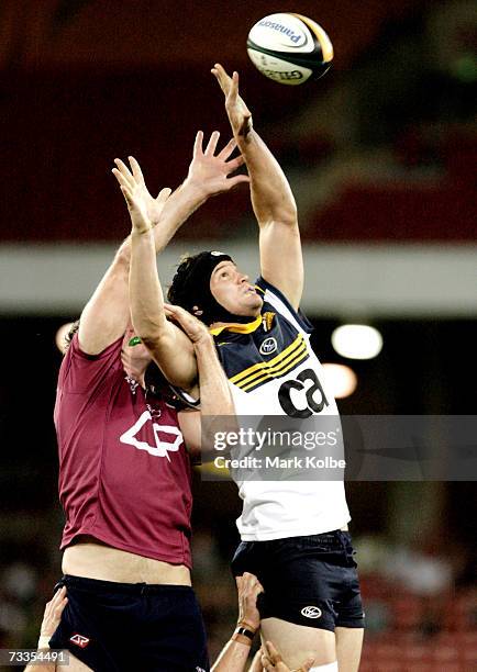 Adam Wallace-Harrison of the Brumbies wins the lineout ball under pressure during the round three Super 14 match between the Reds and the Brumbies at...