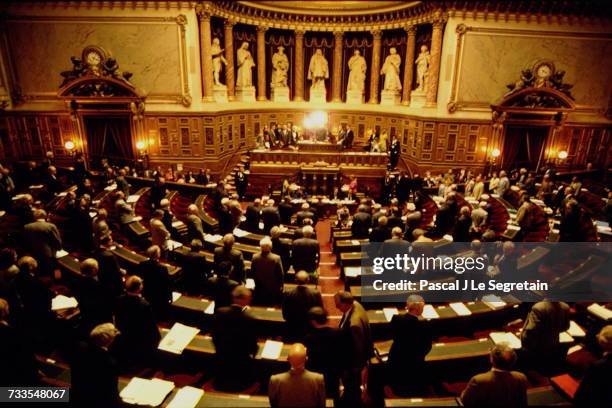 Debate At The Senate On The Maastricht Treaty