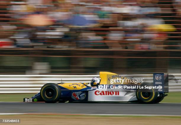91 South African Grand Prix 1993 Stock Photos, HighRes Pictures, and
