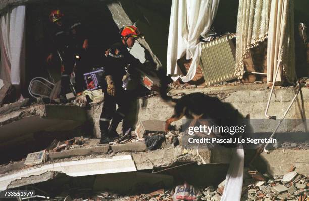 Emergency rescue workers with sniffer dogs on reconnaisance mission in the debris of a building.