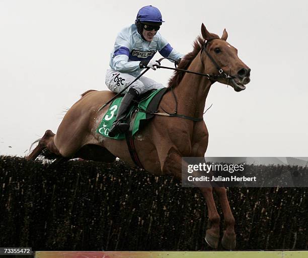 Tony McCoy and Little Brick clear the last fence to land The Country Gentlemans Association Steeple Chase Race run at Wincanton Racecourse on...