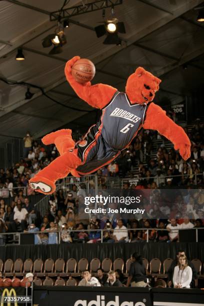 Jession Rufus Charlotte Bobcats Mascot Photos and Premium High Res Pictures ...