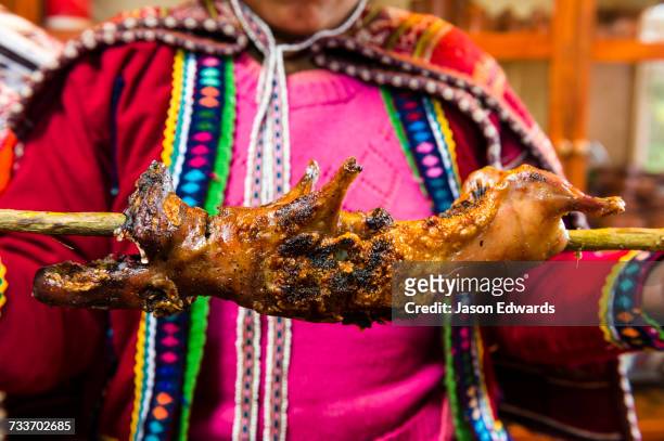 an amaru woman holding a cooked guinea pig called a cuy. - peruvian guinea pig stock pictures, royalty-free photos & images