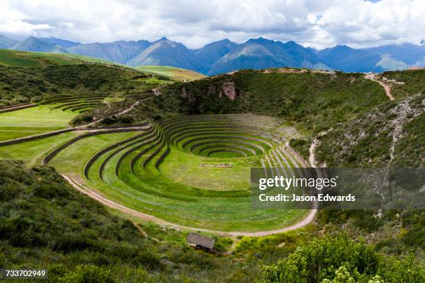 an inca site with stone wall terraces for growing agricultural crops by creating microclimates. - moray inca ruin stock pictures, royalty-free photos & images