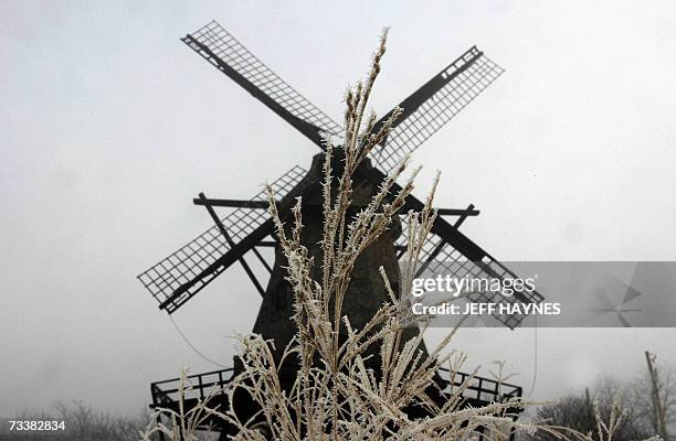 Geneva, UNITED STATES: Hoar frost is seen on wild grass 21 February 2007 near the old Fabyan Windmill in the forest preserve in Geneva, Illinois. The...