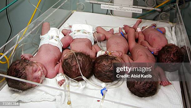 Palestinian new Quintuplets, four boys and a girl, named Mohammed, Ahmed, Hussam, Abdul Rahman and Iman lie at the Shifa hospital on February 21,...