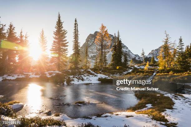 sunlight through trees by lake, cascade mountain range, diablo, washington, usa - diablo lake stock-fotos und bilder