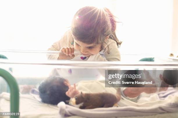 young girl looking at newborn baby brother - sibling hospital stock pictures, royalty-free photos & images