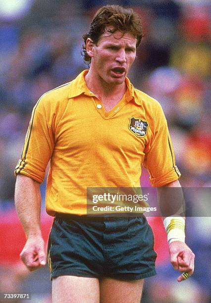 Simon Poidevin of the Wallabies looks on during the Rugby World Cup match between Australia and Wales in Sydney, Australia. Australia won the match...