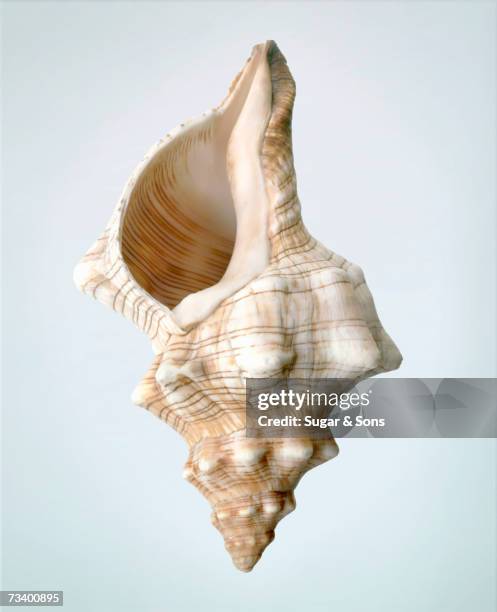 275 Triton Light Stock Photos, High-Res Pictures, and Images - Getty Images