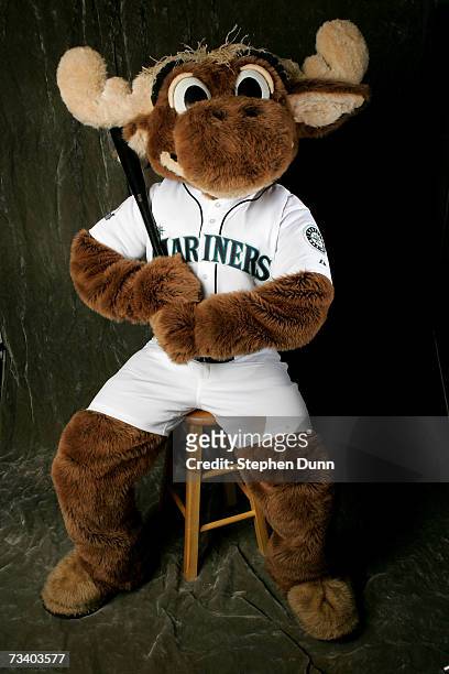 The Mariner Moose, mascot of the Seattle Mariners, poses during Photo Day on February 23, 2007 at Peoria Sports Complex in Peoria, Arizona.
