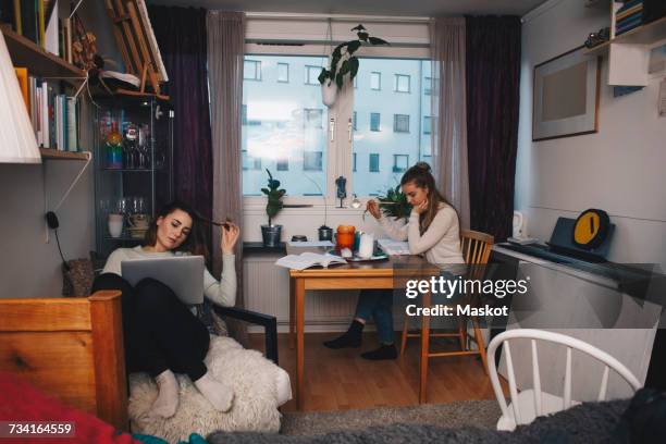 young female roommates studying together in college dorm room - housemates stockfoto's en -beelden