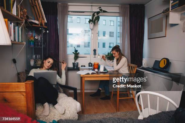 young female roommates studying together in college dorm room - parceiro de apartamento - fotografias e filmes do acervo