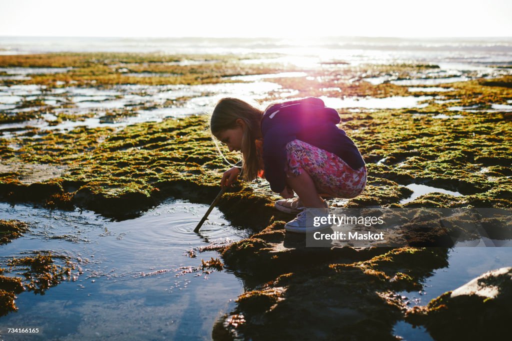 Full length side view of girl dipping stick in water at beach