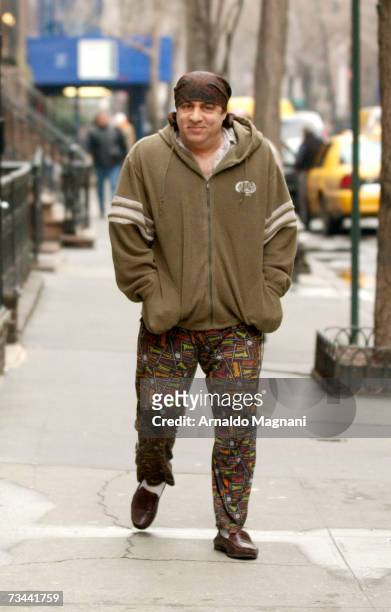 Actor/musician Steve Van Zandt walks around midtown Manhattan February 27, 2007 in New York City.