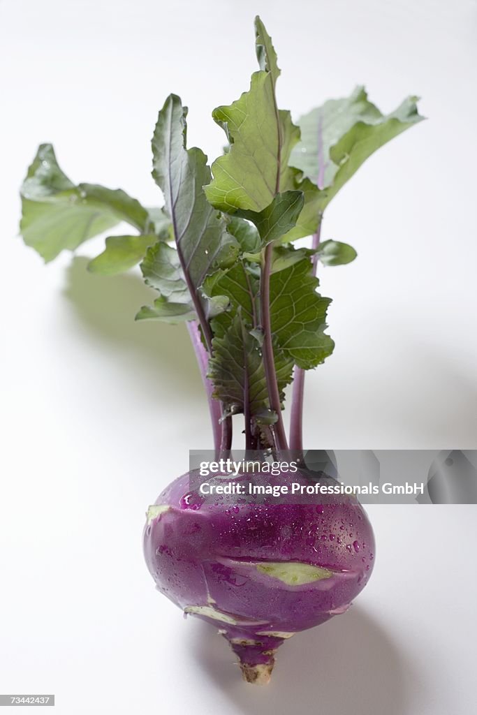 Purple kohlrabi with leaves