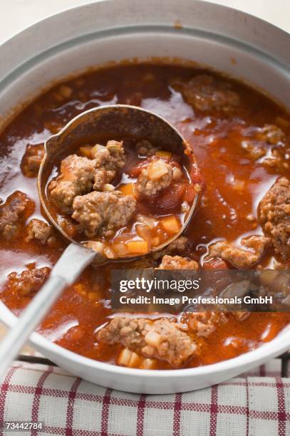 Ragoo Photos and Premium High Res Pictures - Getty Images