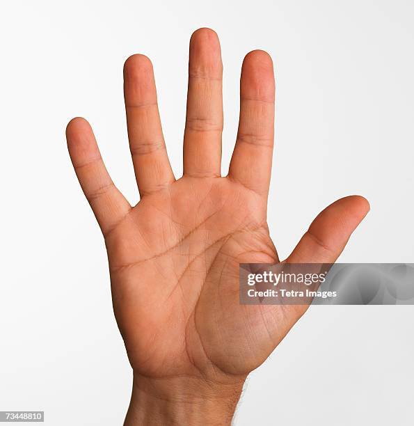 close up studio shot of palm side of man's hand - mano abierta fotografías e imágenes de stock