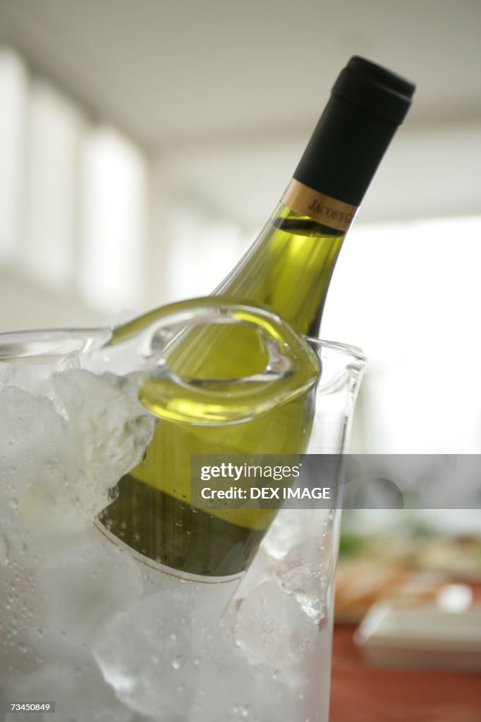 Close-up of a wine bottle in an ice bucket