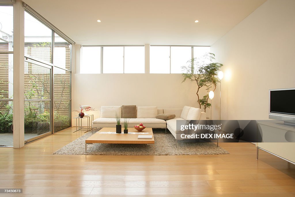 Interiors of a living room