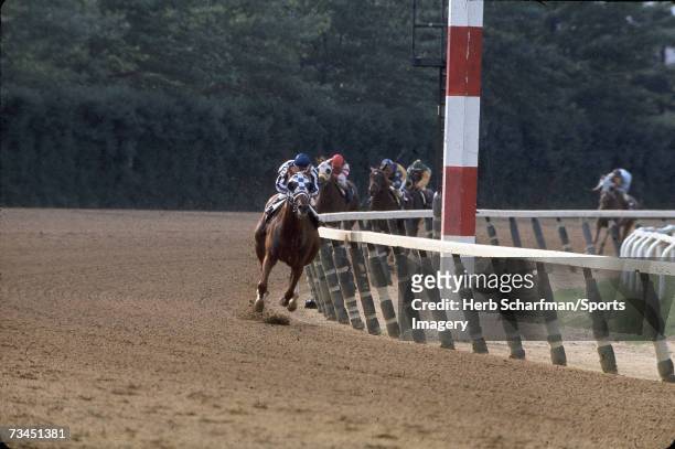 Secretariat wins the Belmont Stakes with Ron Turcotte aboard on June 9, l973 at Belmont Park in Elmont, New York.