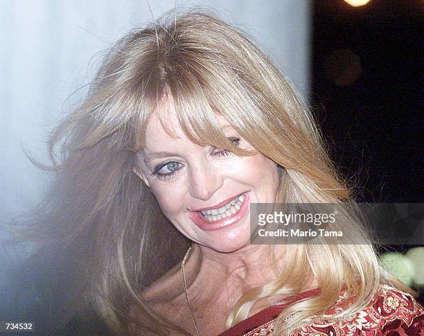 Actress Goldie Hawn enters the Plaza Hotel to attend the wedding of Michael Douglas and Catherine Zeta-Jones November 18, 2000 in New York City.