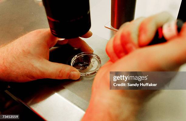 Embryologist Ric Ross holds a dish with human embryos at the La Jolla IVF Clinic February 28, 2007 in La Jolla, California. The clinic accepts...