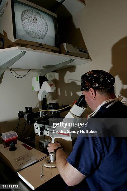 Embryologist Ric Ross extracts tissue mass from a human embryo at the La Jolla IVF Clinic February 28, 2007 in La Jolla, California. The clinic...