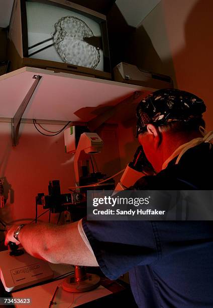 Embryologist Ric Ross extracts tissue mass from a human embryo at the La Jolla IVF Clinic February 28, 2007 in La Jolla, California. The clinic...