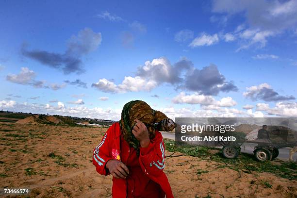 Poor Palestinian girl covers her face from the camera while she collects grass and some remaining of potatoes from a harvested farm near to heaps of...