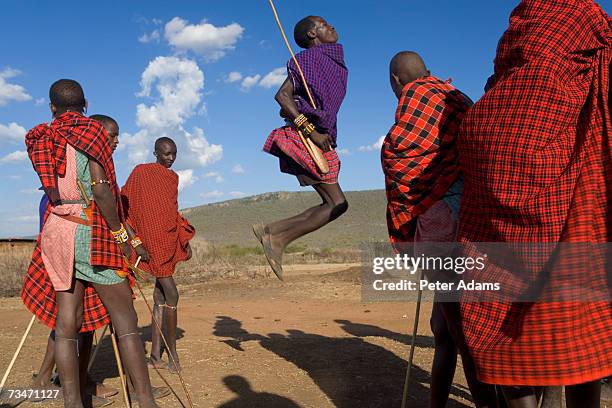 kenya, masai mara, masai dancers - tribù africana foto e immagini stock