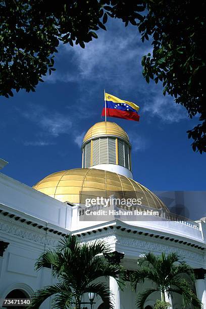 capitol building at bolivar plaza, caracas, venezuela, low angle view - avenida bolívar - fotografias e filmes do acervo