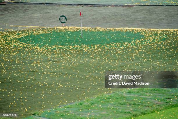 golf driving range with green and pin surrounded by golfballs - driving range stock pictures, royalty-free photos & images