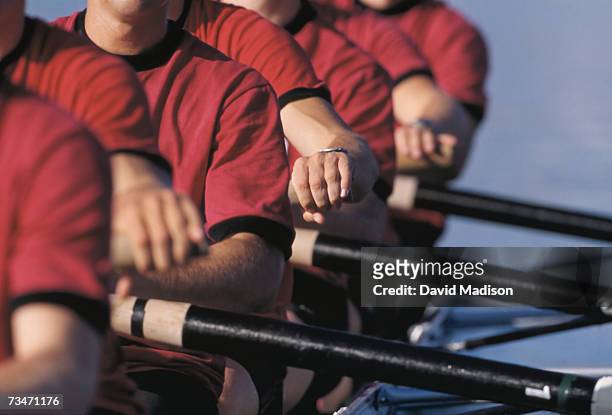 men's crew team rowing in unison, close-up - rudern stock-fotos und bilder